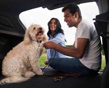 A man and a woman petting a dog in the boot of a car