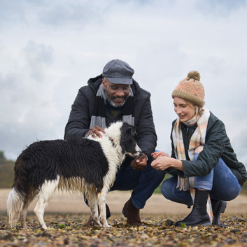A man and a woman petting a dog on a pebble beach